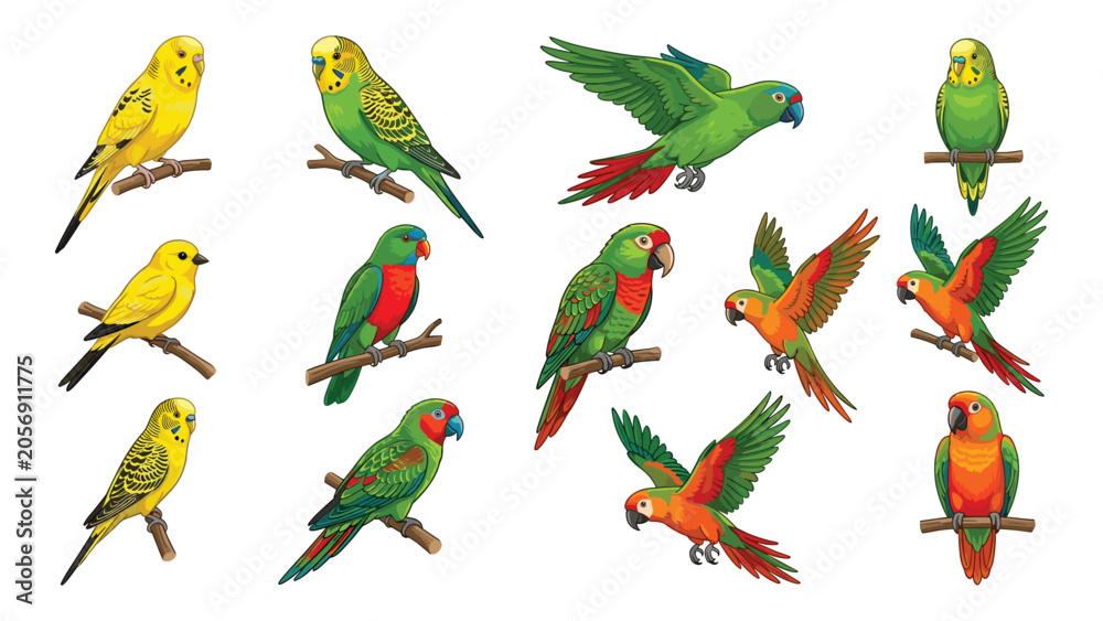 Fototapeta premium Set of colorful parrot and canary birds in various poses isolated vector illustration.