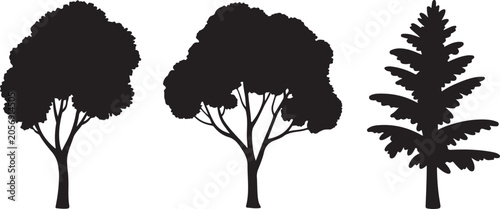Foto Three different trees with leafy branches or needle foliage in black silhouette shape style isolated on transparent background