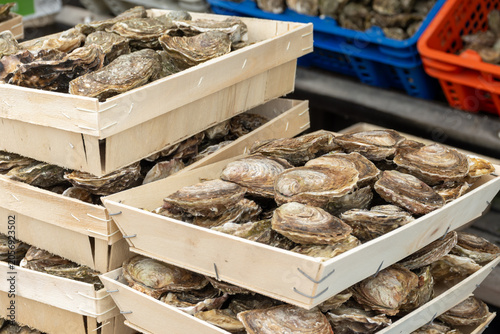 Photos Fresh delicate, premium flat oysters from Brittany, France