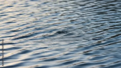 Rippled water surface with subtle light reflections creating a textured fluid pattern