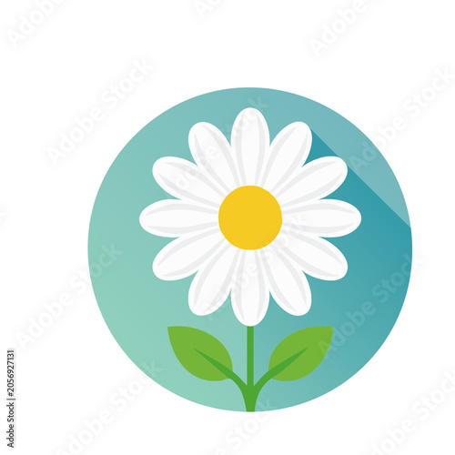 Flat design icon of a daisy flower with leaves