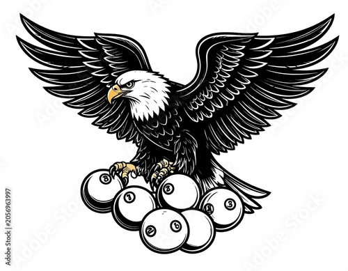 Black and white eagle with detailed feathers.