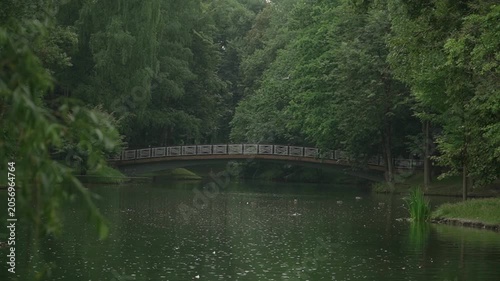 shooting of tall, thick green trees city park, reflection water, ripples, birds swimming, pigeons flying over, pedestrian bridge arch background, silence, relaxation, peace, tranquility, summer day