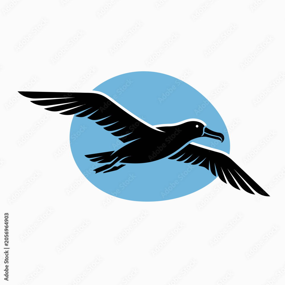 Fototapeta premium Black bird in flight wings spread.