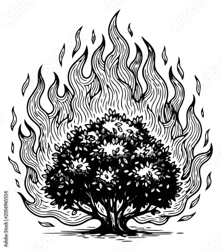 Hand drawn line art illustration of a burning bush depicting flames and heat for environmental disaster themes