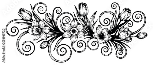 Hand drawn line art illustration of a floral border depicting spring flowers like tulips and daffodils with ornate swirls for elegant design and decoration