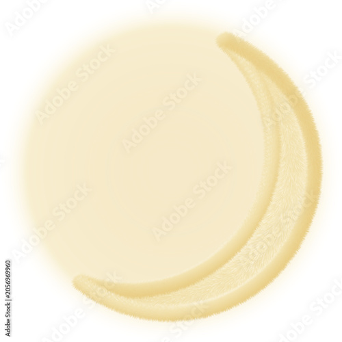 Soft Fluffy Crescent Moon Illustration with Warm Golden Fur Texture