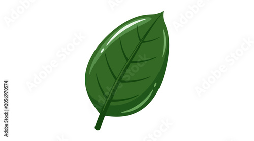 Φωτογραφία Green leaf with stem and veins.