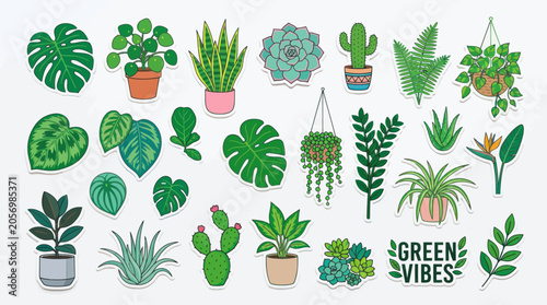 Quadro em tela Variety of Potted Houseplants and Cacti.