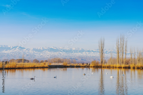 The natural beauty of the Tianshan Mountains and Swan Lake in winter in Xinjiang, China on March 3, 2023