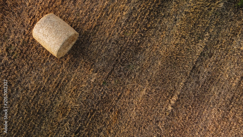 Φωτογραφία A round hay bale rests on a field that has been harvested, with traces of tillage visible in the soil