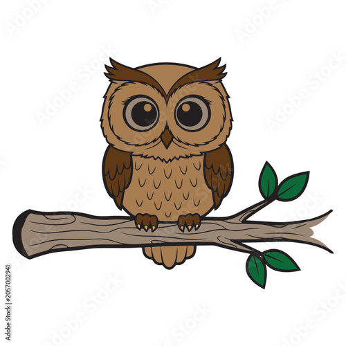 Cute Owl Sitting on Tree Branch