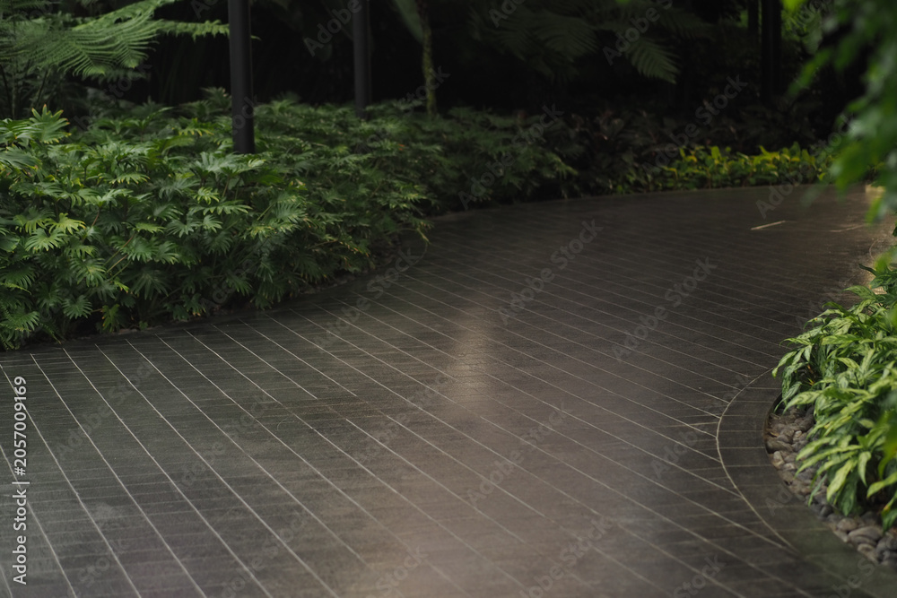 Fototapeta premium Curved path in a garden with lush green plants