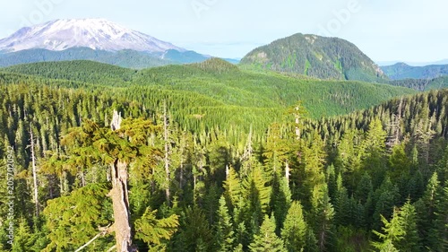 Aerial View Of Mount St Helens Above Evergreen Forest 27