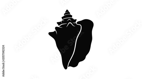 Artistic conch shell silhouette on dark background.