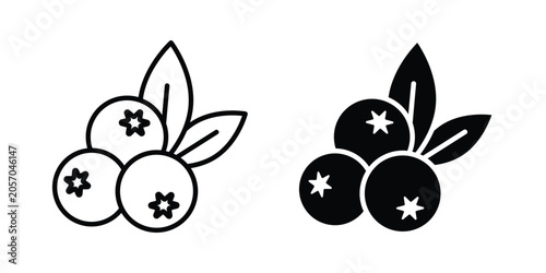Foto Berry icon fill and line concepts