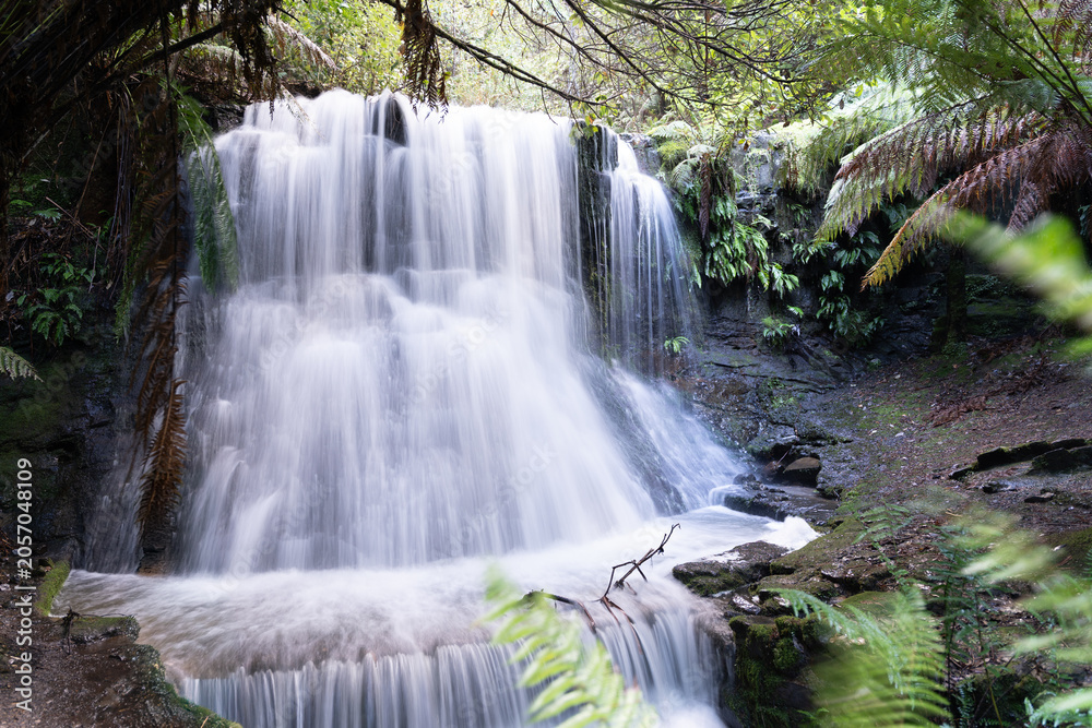 Fototapeta premium Long exposure waterfall cascading through a lush green tropical rainforest
