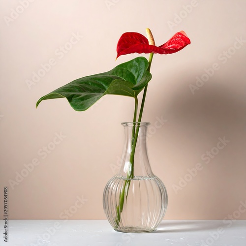 A clear glass vase containing a single red anthurium flower with a large green leaf on a white surface against a beige background
