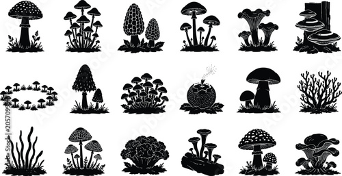 Konstfotografi WebWild mushroom and fungi icon set featuring various edible, toxic, and forest