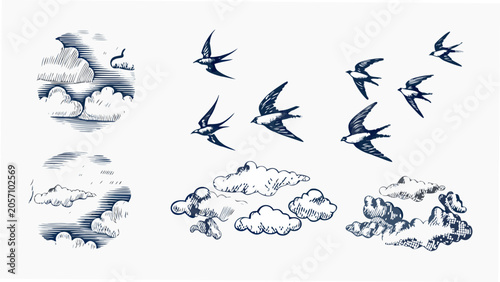 Swallows And Clouds Vintage style Engraving Illustration