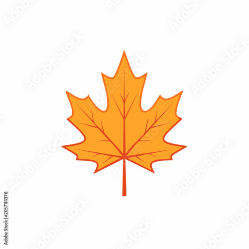 Stylized Maple Leaf Illustration