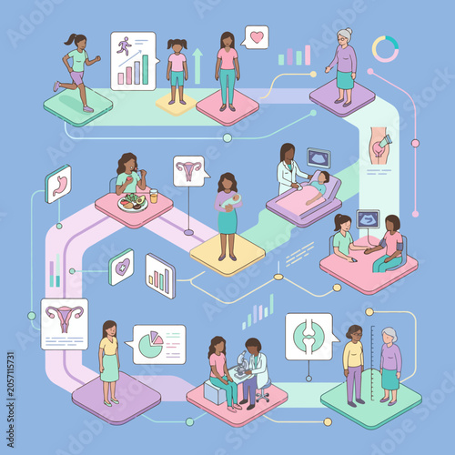 Vector infographic showing stages of women health and aging