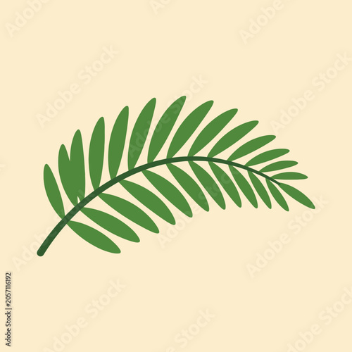 A single green tropical palm leaf on a plain cream background