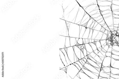 Minimalist Black and White Spider Web Detail on transparent Background with Copy Space