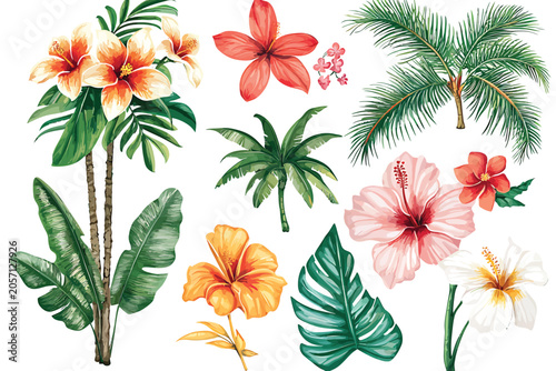 Vibrant Tropical Flora Collection In Watercolor Style With Exotic Botanical Elements Vector Illustration.
