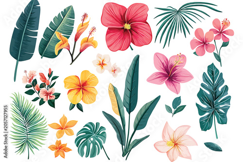 Vibrant Tropical Floral And Leaf Collection With Exotic Botanical Elements Vector Illustration.