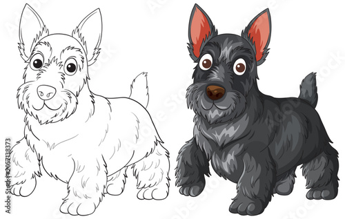 Scottish Terrier Cartoon Illustration with Line Art and Color