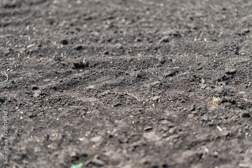 Foto Dry cracked soil with scattered small stones and sparse vegetation
