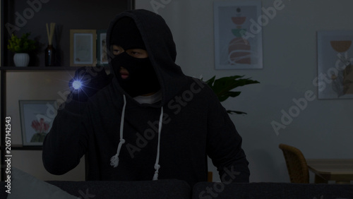 фотографія Masked Intruder Holding Flashlight During Nighttime Home Invasion in Living Room