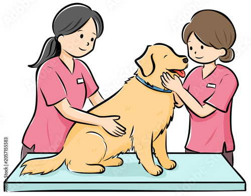 HPやカタログで使いやすい動物病院で診察を受ける大型犬（ゴールデン）のベクターイラスト