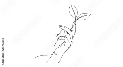Tableau sur toile Minimalist Line Art Hand Holding Sprout, Growth Concept