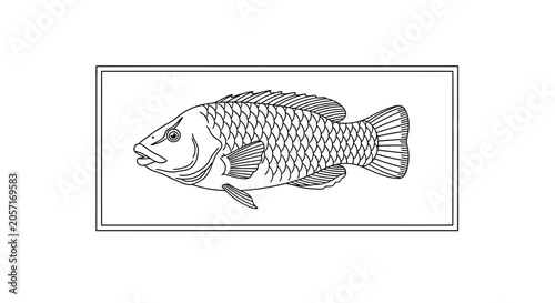 Black and White Line Drawing of a Fish in a Rectangular Frame
