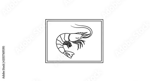 Black and White Line Art Illustration of a Shrimp