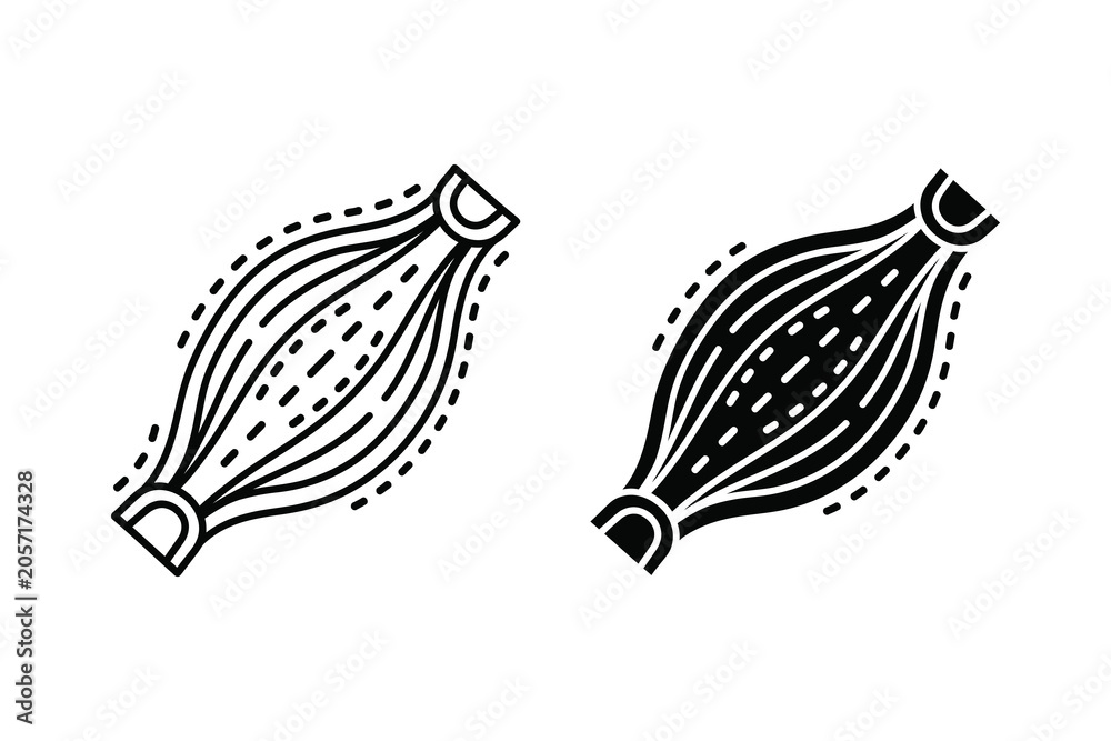 Fototapeta premium Muscle fiber vector illustration, line art style