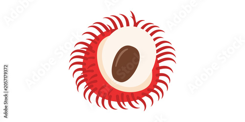 Slika na platnu Vector illustration of peeled rambutan fruit with rambutan tropical vegetarian i