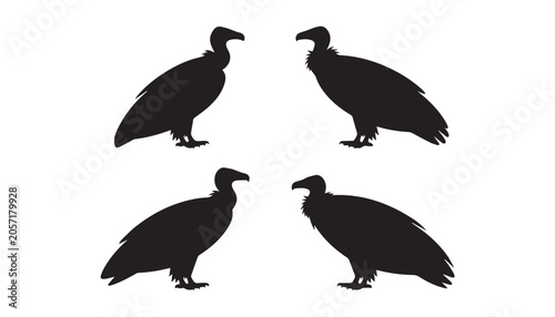 Obraz na plátně black and white silhouette set of vulture bird very high quality vector illustration