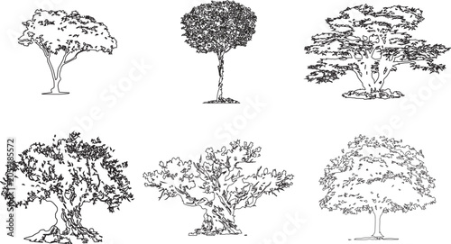 Photography Architectural tree line art vector set, architectural outline tree sketches, use