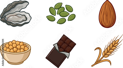 Healthy Zinc and Magnesium Rich Food Sources Icon Set Featuring Oyster, Pumpkin Seeds, Almond, Chickpeas, Chocolate, and Wheat Ear Vector Illustration