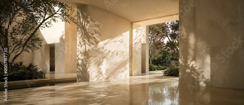 Luxury Minimalist Courtyard Interior with Natural Light and Organic Shadow Patterns
