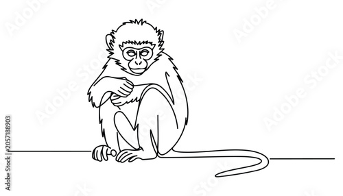 Photography One continuous line illustration of an Baboon animal , isolated on white background