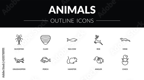 Photography outline animals icons set - silverfish, clam, grasshopper, chick
