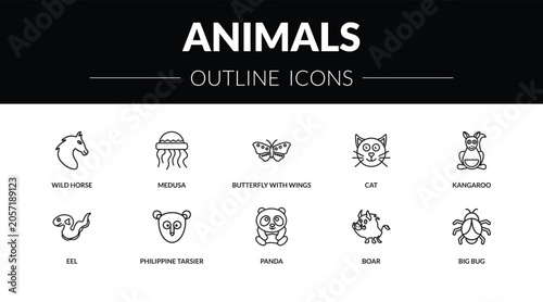 Photography outline animals icons set - wild horse, medusa, eel, big bug