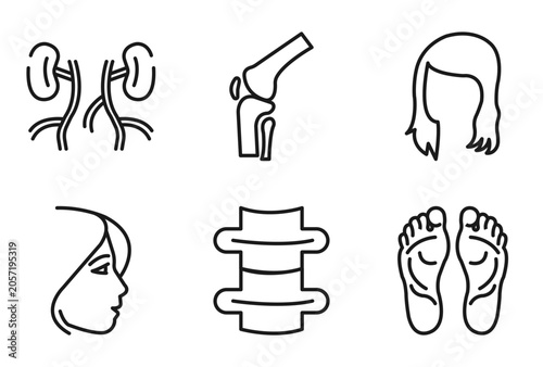 Fotografie outline human body parts icons set - blood supply system, kneecap, woman dark long hair, human footprints