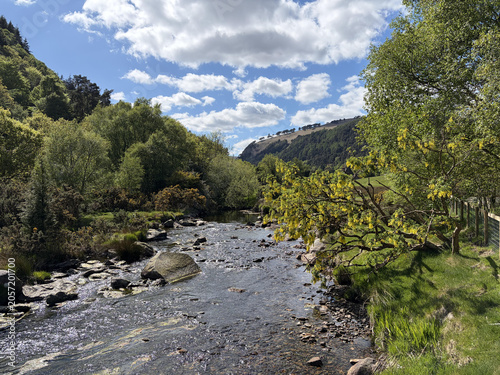 Fotografie a stream in the mountains with trees and rocks