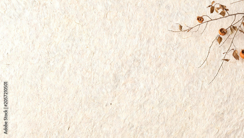 Minimalist Korean traditional paper background with dried plant branch