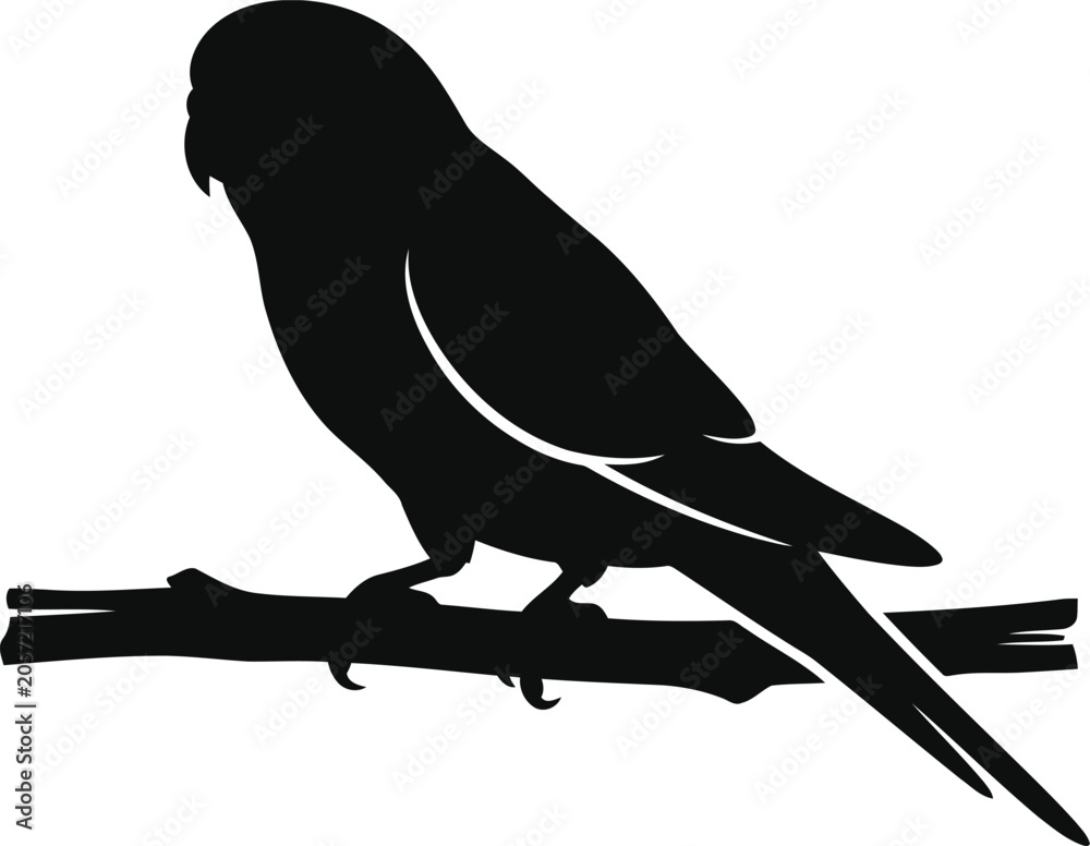 Obraz premium Silhouette of a budgerigar parakeet bird perched on a branch, vector illustration of a small pet parrot